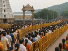 లడ్డూ వివాదాన్ని కోర్టుకు వదిలేస్తేనే బెటరా?